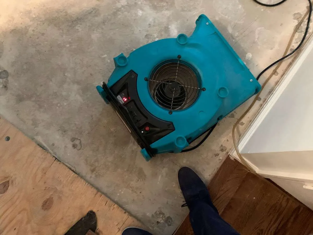 Air mover drying subfloor during Commercial Water Damage Restoration in Upper Darby